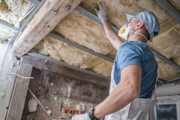 Best Insulation Installation Services in Banner Hill, TN