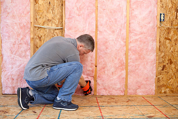 Best Types of Insulation in Banner Hill, TN